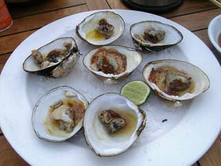 2006_2_24_16.jpg